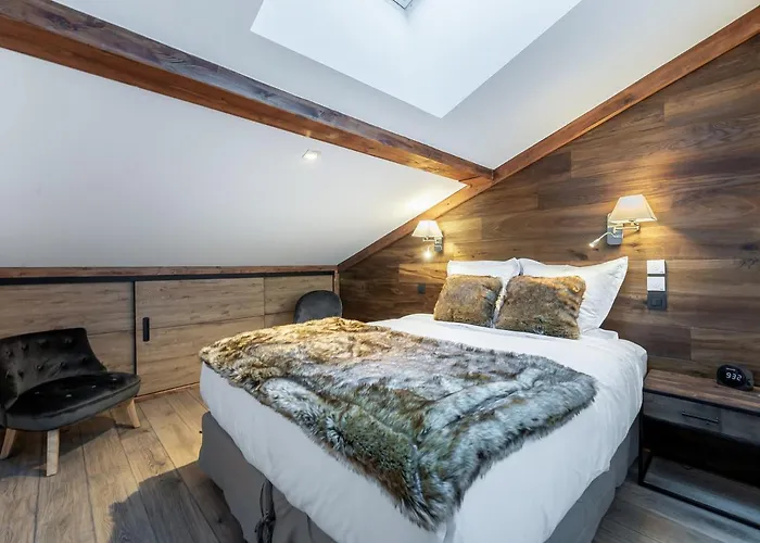 D'exception Au Centre De 1650, 10 Pers., Parking, Connexion Wifi - Fr-1-563-79 דירה קורשבל